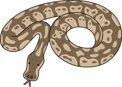 Boa clipart