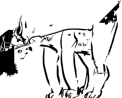 Bobcat clipart