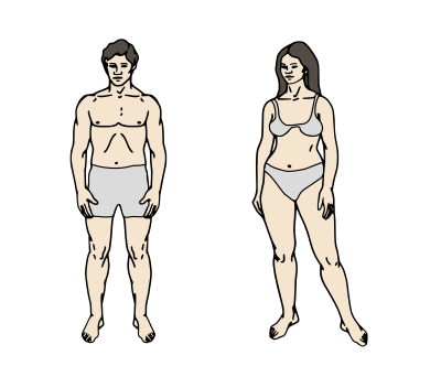 Body Parts Chart clipart
