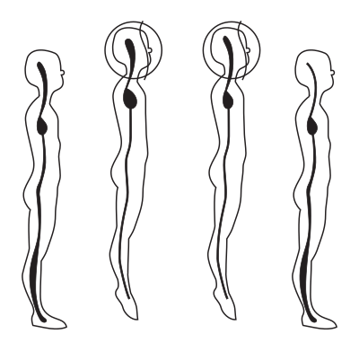 Body postures clipart