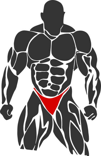Bodybuilder clipart