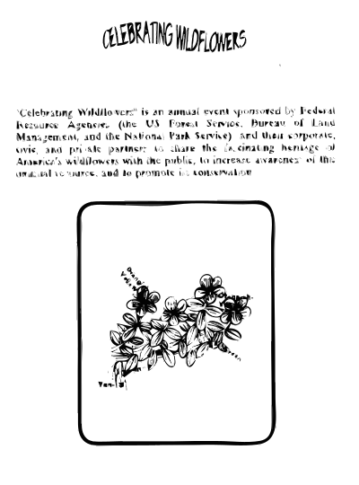Bog St. Johns Wort Coloring Guide clipart