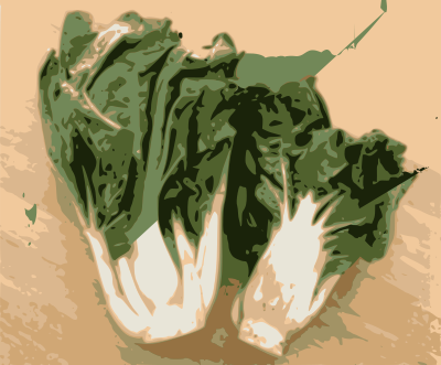 Bok Choy clipart