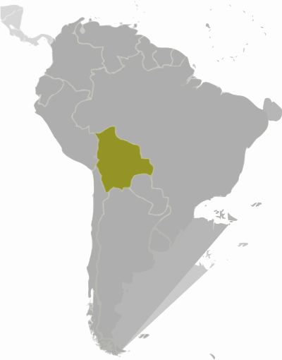 Bolivia location clipart