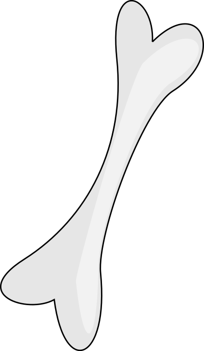 Bone clipart