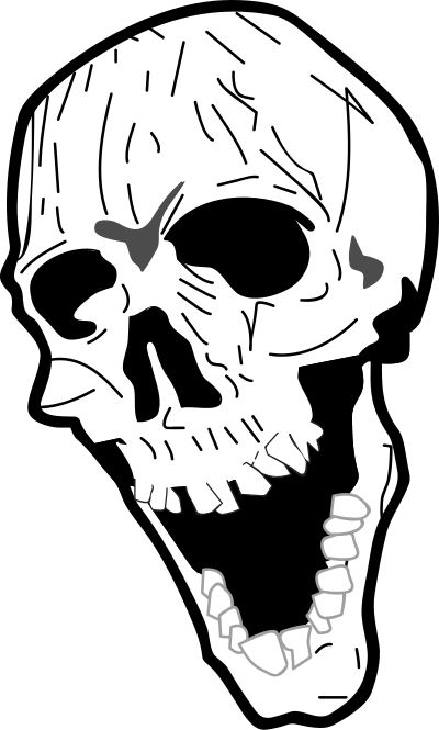 Bone clipart