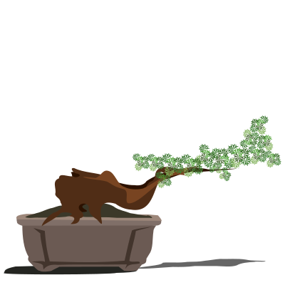 Bonsai-10 clipart