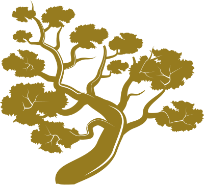 Bonsai pure clipart