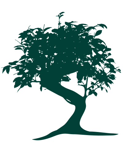 Bonsai Silhouette clipart