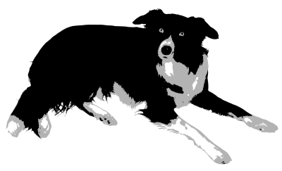 Border Collie clipart
