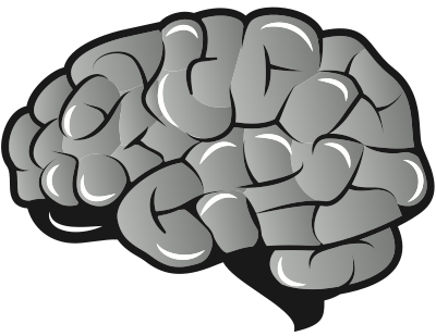 Brain clipart