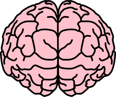 Brain clipart