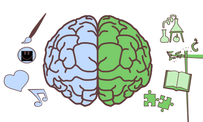 Brain Hemispheres clipart