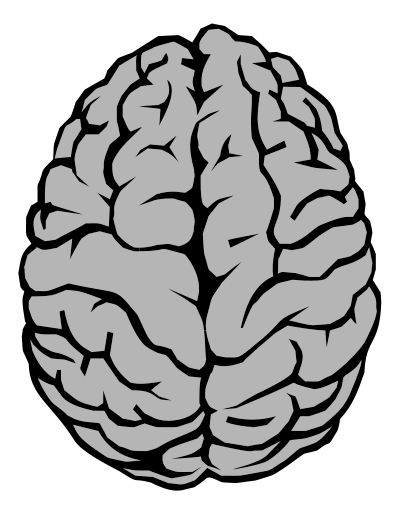Brain Illustration clipart