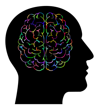 Brain In Man Head Prismatic clipart