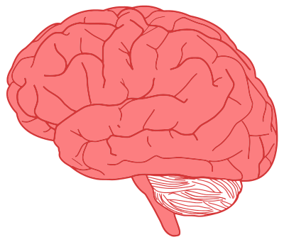 Brain Profile Optimized clipart