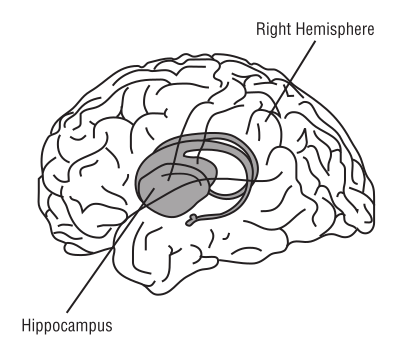 Braing in Space labeled clipart