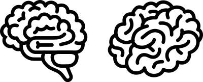 Brains clipart
