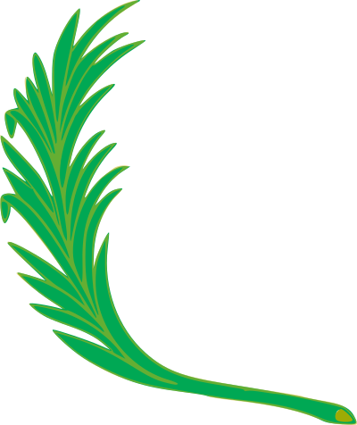 Branch 3 clipart