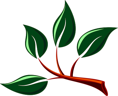 Branch 5 clipart