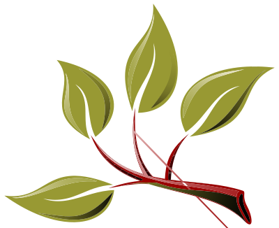 Branch With Leaves clipart