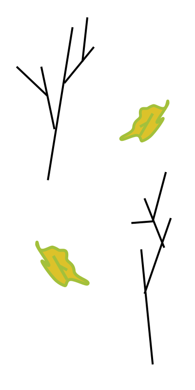 Branches and leaves clipart