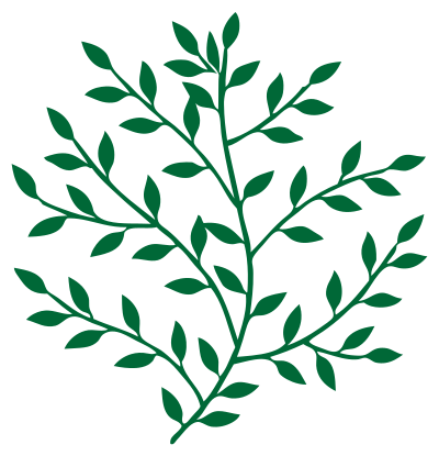 Branches With Leaves clipart