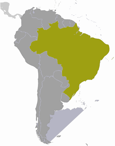 Brazil location clipart