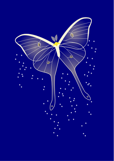 Bright butterfly clipart