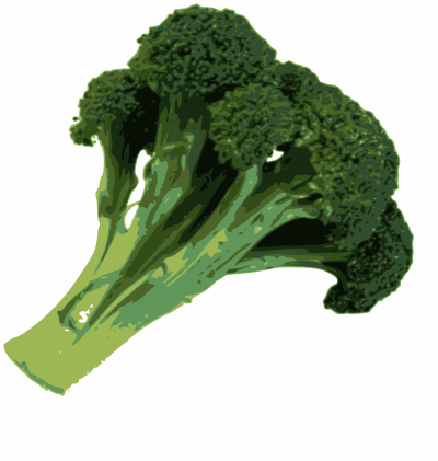 Broccoli clipart