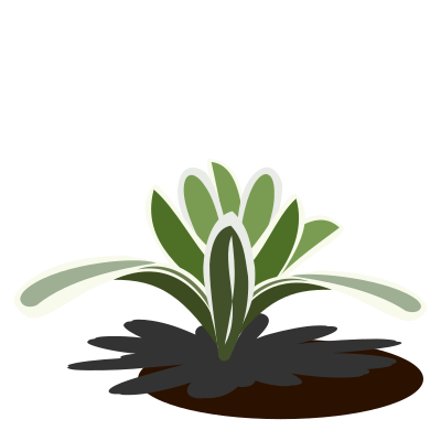Bromelia-09b clipart