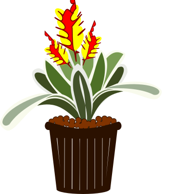 Bromelia-09d clipart