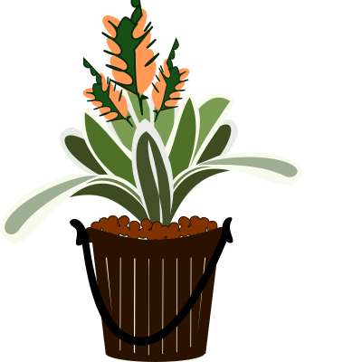 Bromelia-09f clipart