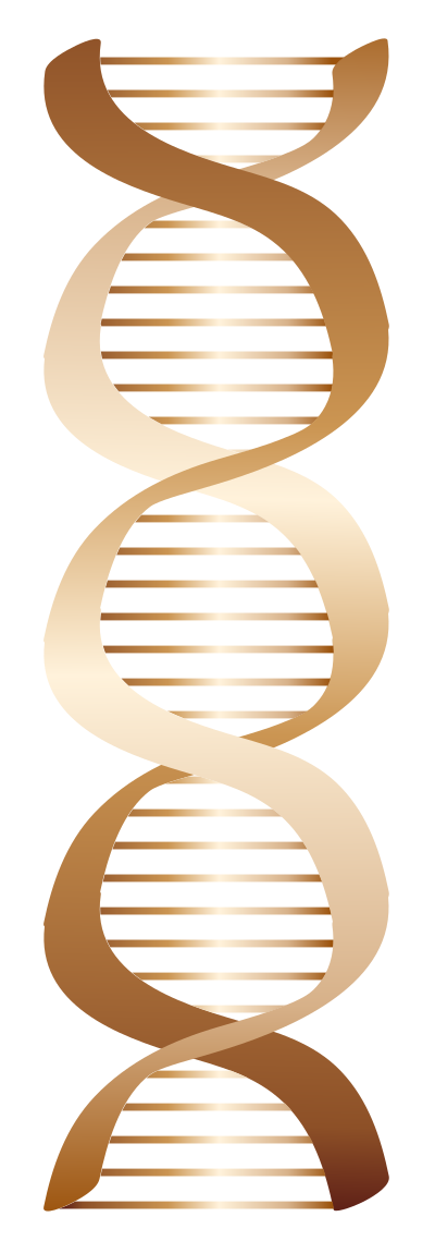 Bronze DNA icon clipart
