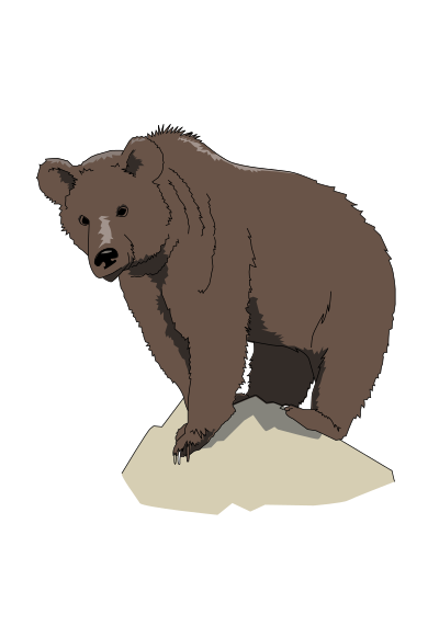 Brown bear clipart