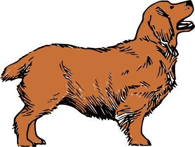 Brown Clumber Dog clipart