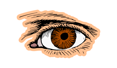 Brown eye clipart