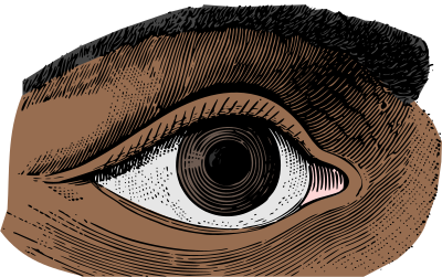 Brown Eye clipart