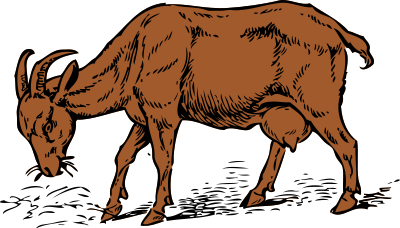Brown goat clipart