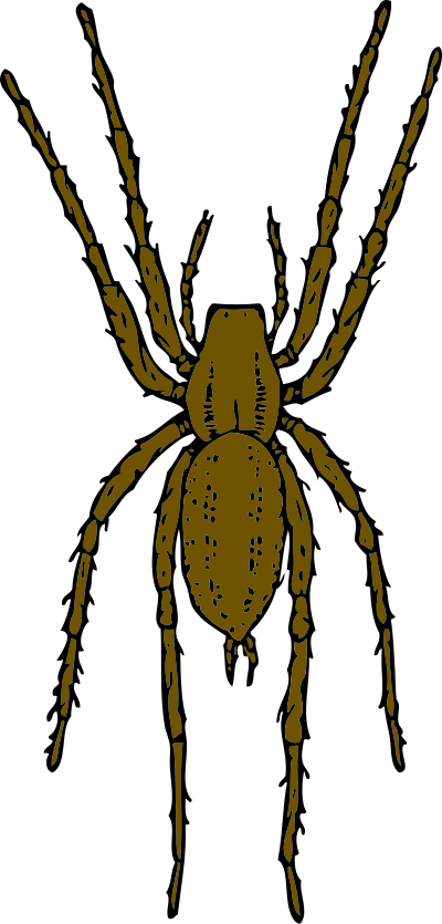 Brown spider clipart