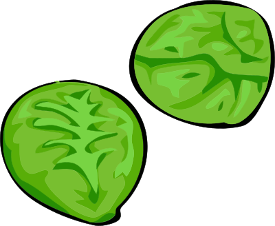 Brussels Sprouts clipart