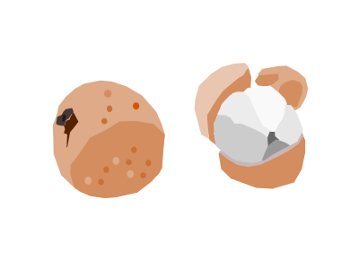 Buah Duku clipart