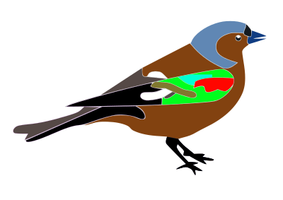 Buchfink clipart