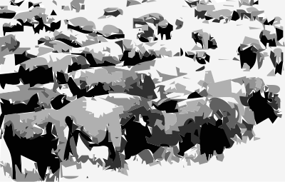 Buffalo Heard clipart