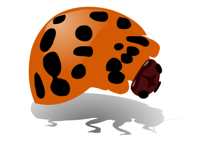 Bug clipart