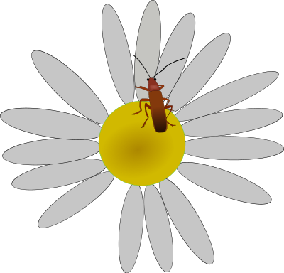 Bug on a flower clipart