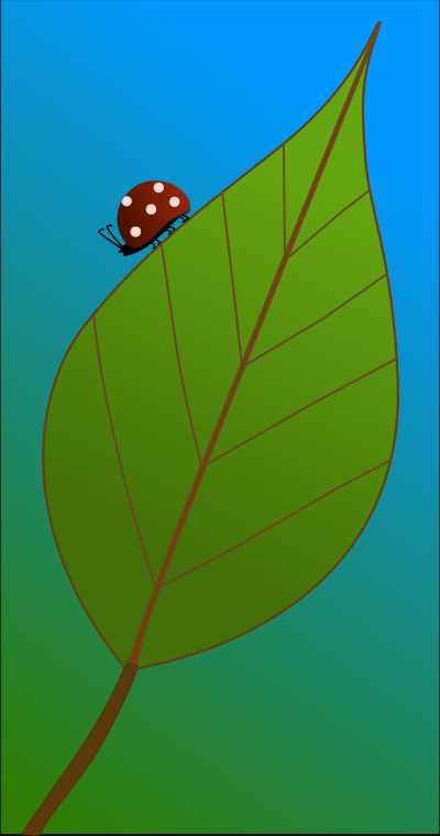 Bug on a Leaf clipart