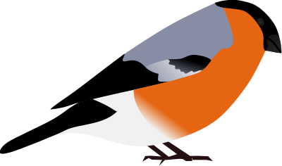 Bullfinch clipart