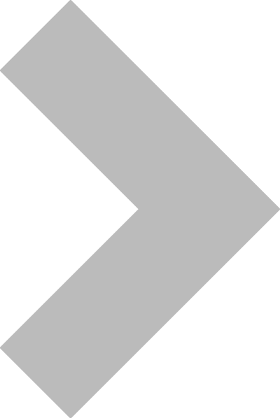 Bullit (angular) clipart