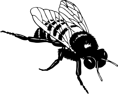 Bumble bee clipart